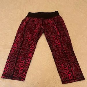 Betsey Johnson fuchsia leopard print spandex capris yoga pants